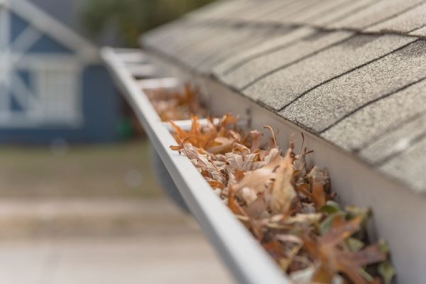 Leaf Barrier Installation in Medina